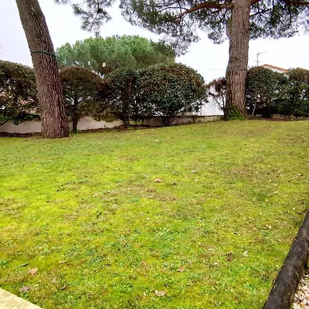 Les Ecureuils Du Parc à 400 M De La * Royan